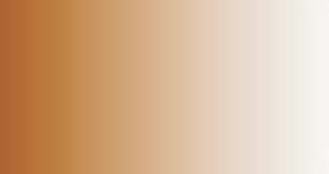 LifeColor TSC211 Burnt Brown