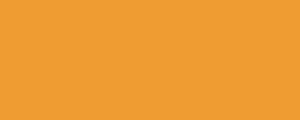 LifeColor UA704 Rust light shadow 2