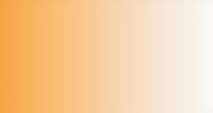 LifeColor TSC206 Rust 2