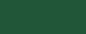 LifeColor UA216 Verde scuro