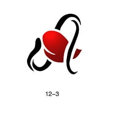 Patrón Fengda tatuaje brillante 12-03