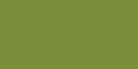 LifeColor FF01 Fixer Fluid: Gloss Lime