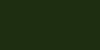 LifeColor FF03 Fixer Fluid: Gloss Dirty Green