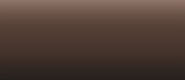 LifeColor Liquid Pigments LPW01 Burnt Umber