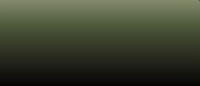 LifeColor Liquid Pigments LPW02 Black Umber