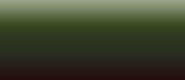 LifeColor Liquid Pigments LPW03 Burnt Olive
