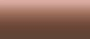 LifeColor Liquid Pigments LPW14 Dark Dust