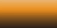 LifeColor Liquid Pigments LPW31 Ochre