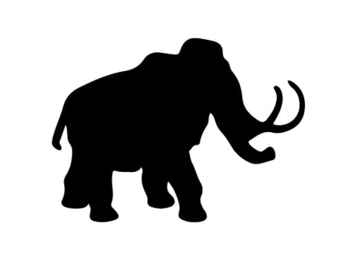 731c5c90cf7f5e970bf99c0a0bee731f