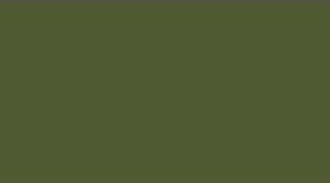 LifeColor UA245 FINNISH WWII ARMY Sammaleenvihreä