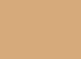 Pigmento LifeColor PG105 Dry Dust