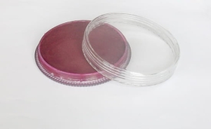 Pintura corporal y facial Fengda body painting rose 30 g