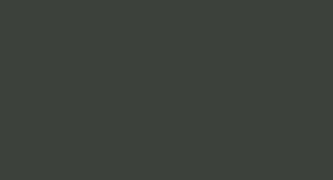 LifeColor UA733 Tire Black