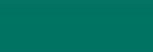 AmeriColor Soft Gel Paste TEAL 19ml